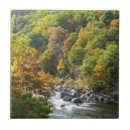 Search for fall colour tiles Nature