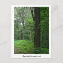 Search for photography photograph postcards Landscape