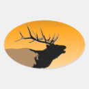 Search for bull elk stickers Wapiti