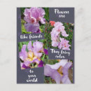 Search for purple iris stamp postcards Flowers