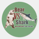Recherche de requin ours Animal