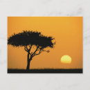 Search for silhouetted postcards Africa