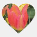 Search for orange tulip stickers Pink
