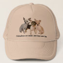 Search for chihuahua dogs baseball hats Chihuahuas
