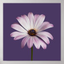Search for purple flower posters Bouquet