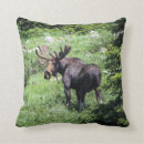 Search for moose pillows Nature