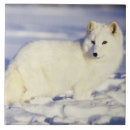 Recherche de arctique carreaux Alaska