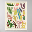 Recherche de la grande barrière de corail posters Vintage