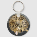 Search for chat round keychains Kitten