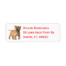 Search for cairn terrier return address labels Puppy