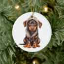 Search for doberman ornaments Animal