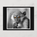 Recherche de petit singe cartes postales Ape