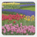 Search for landscape design stickers Dutch