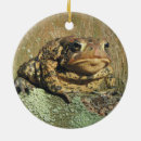 Search for toad ornaments Amphibian