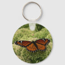 Search for beautiful butterflies keychains Nature