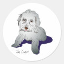 Search for maltipoo stickers Maltese