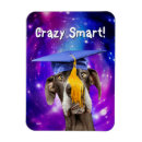 Recherche de chien drôle magnets Humour