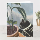 Search for watchful cards Cat
