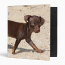 Search for dog walking binders Sand