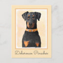 Recherche de dobermann cartes postales Doberman pinscher