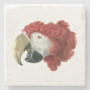 Search for macaw coasters Bird