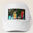 Search for cinco de mayo hats Margarita