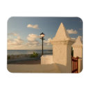 Search for turks and caicos magnets Tropical