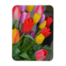 Recherche de tulipes de ressort magnets Floral