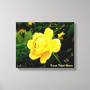 Search for yellow rose art Rosa