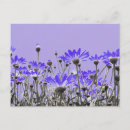 Search for arty postcards Flowers