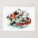 Search for swimming postcards Dog