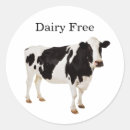 Recherche de laitier autocollants Intolérant au lactose