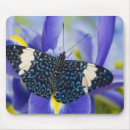 Search for captivating mousepads Usa