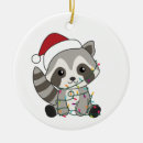 Search for racoons ornaments Raccoons