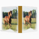 Search for galloping binders Thoroughbred