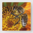 Recherche de honey bee horloges Apiculteur