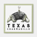 Search for armadillo magnets Funny
