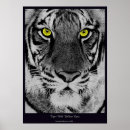 Search for tiger eyes posters Animal