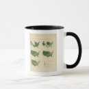 Search for value mugs Statistical