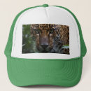 Search for jaguar hats Cat