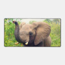 Search for forest elephants mousepads Animal