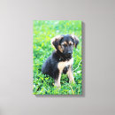 Search for outdoor canvas prints Cute