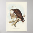 Recherche de goules art Vintage