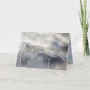 Search for spirit horse cards Loss