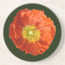 Search for orange poppies coasters Colourful
