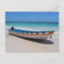 Recherche de canna photographie Cana
