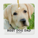 Search for best dog dad ornaments Modern