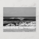 Search for pacific postcards Souvenir