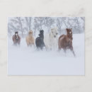 Search for running horses postcards Winter