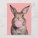 Search for chew postcards Rabbit